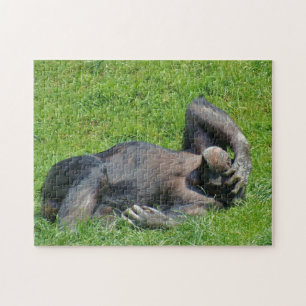 Chimpanzé de relaxamento - quebra-cabeça