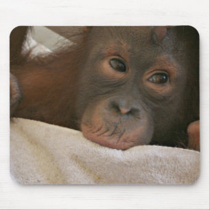 Chimpanzé Mousepad do bebê