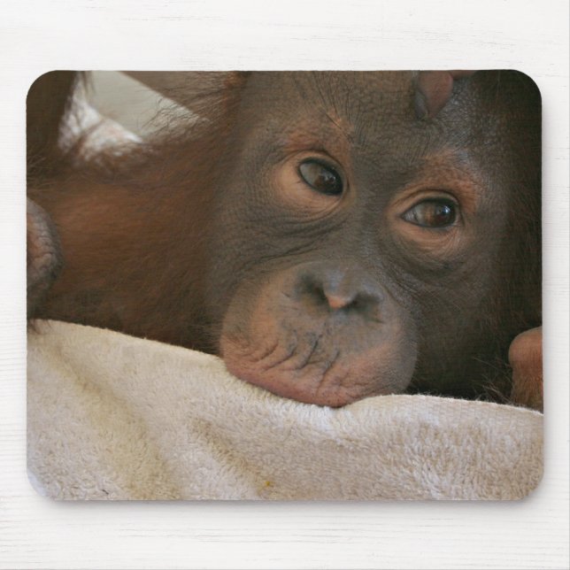 Chimpanzé Mousepad do bebê (Frente)