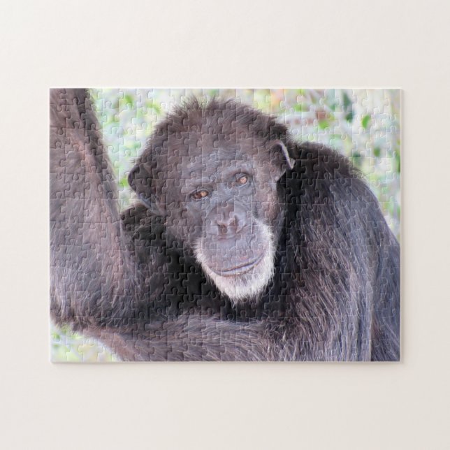 Chimpanzé Quebra-cabeça (Horizontal)