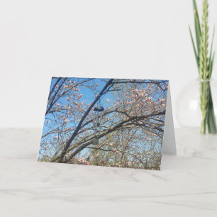 Chimpanzés eólicos e Cartão de Aniversário da Magn