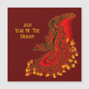 China Dragon, 2024 Ano Do Dragão