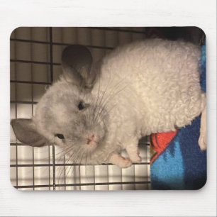 Chinchilla Mousepad Bloqueado