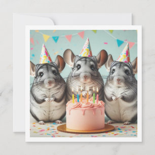 chinchillas comendo bolo convite de aniversário