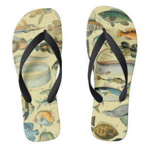 Chinelos Arte De Pesca Científica Para Peixes Vintage