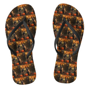 Chinelos Belga Malinoi Puppy Autumn Delight Pumpkin