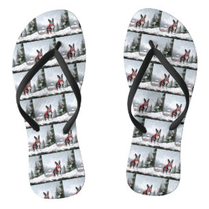 Chinelos Boston Terrier Dog no Natal da neve