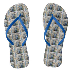 Chinelos Brindle Pit Bull Puppy por Shirley Taylor