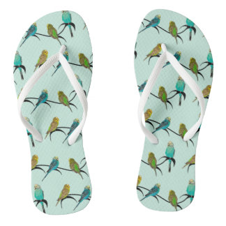 Chinelos Budgie Frenzy (Ciano)