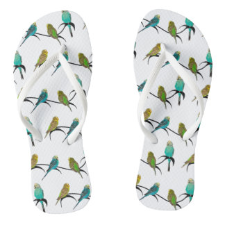 Chinelos Budgie Frenzy (Escolha a cor)