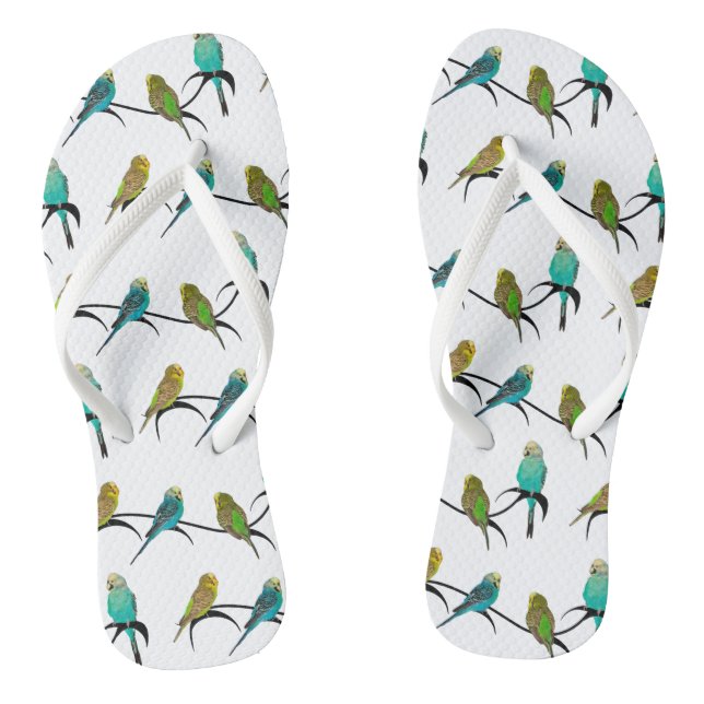 Chinelos Budgie Frenzy (Escolha a cor) (Pé da cama)