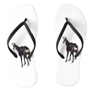 Chinelos Cabra de montanha de Chamois alpina minimalista na