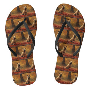 Chinelos Cairn Terrier nas Folhas de Outono Caem Inspiração