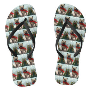 Chinelos Cairn Terrier no Natal na Neve