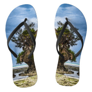 Chinelos Casa pitoresca num afloramento de corais tropicais