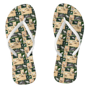 Chinelos Colagem de Fotografias em Galinha de caixa, Chinel