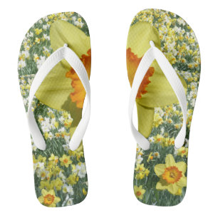 Chinelos Daffodil Amarelos