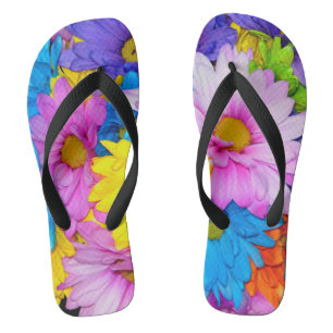 Chinelos Daisy Flower Mix