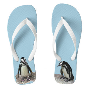 Chinelos de aves pinguins