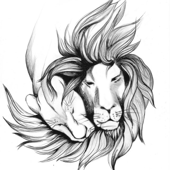 Chinelos de borboletas abstrativas fantasmas (Criador carregado)