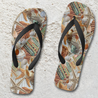 Chinelos de conchas de Starfish da Beach Life