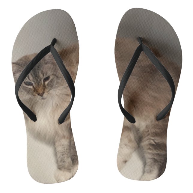 Chinelos de gatos (Pé da cama)
