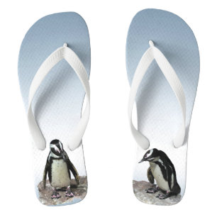 Chinelos de Pássaros Pinguins