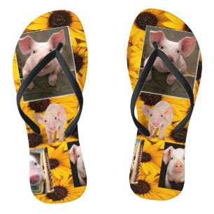 Chinelos de suínos de girassol