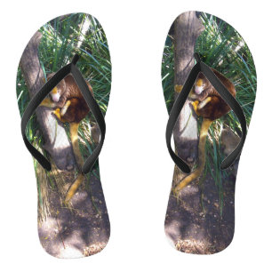 Chinelos "Em Árvores: Uma Árvore Australiana Canguru Sobe