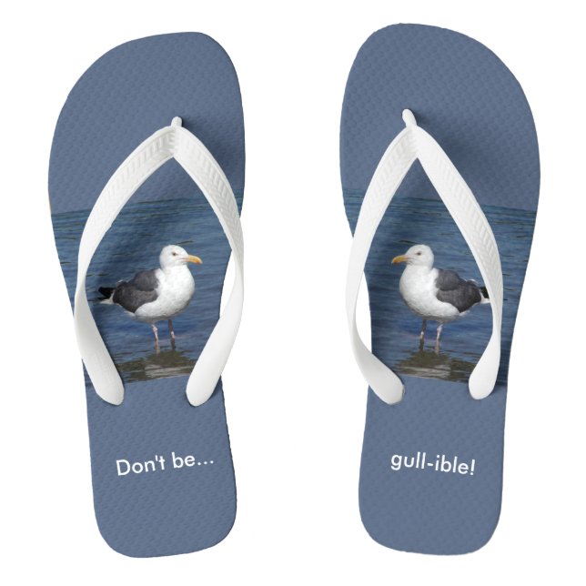 Chinelos Engraçado De Gargor De Seagull Humor (Pé da cama)