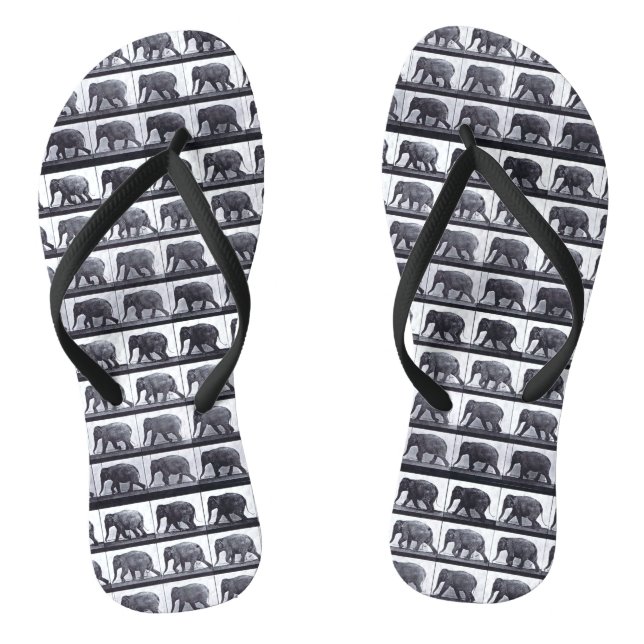 Chinelos Flip-flops magros da correia do ELEFANTE de (Pé da cama)