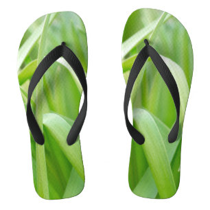 Chinelos Folhas Frescas de Planta Verde
