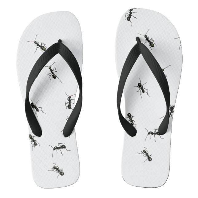 Chinelos Formigas (Pé da cama)