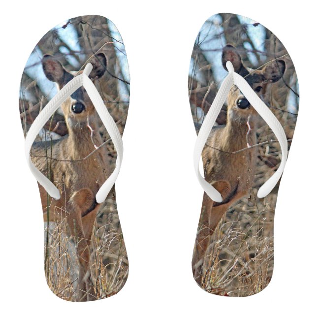 Chinelos Foto de Wildlife Deer Woods (Pé da cama)