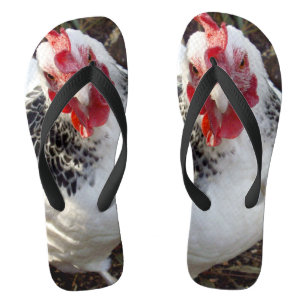 Chinelos Galinha Freckles,