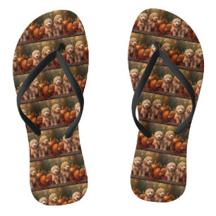 Chinelos Goldendoodle Puppy Autumn Delight Pumpkin
