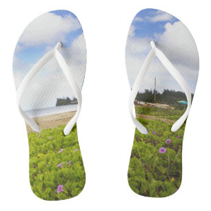 Chinelos Hanalei Bay, Kauai Hawaii Beach