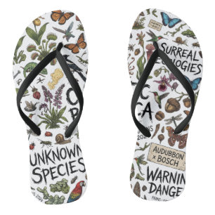 Chinelos Ilustração de Ecologias Surreais da Botânica Caóti