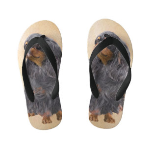 Chinelos Infantis Arte Animal Original Pintura Inglesa Toy Spaniel