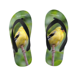 Chinelos Infantis Homem Americano Goldfinch no Bamboo
