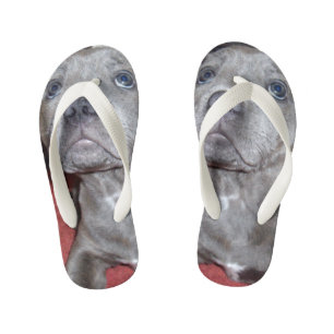 Chinelos Infantis Olhos Soquinhos De Staffy