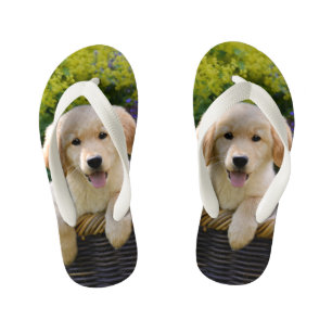 Chinelos Infantis Ouro Retriever Baby Dog Foto Engraçada - Criança