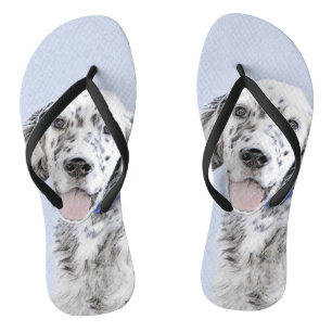 Chinelos Inglês Setter Blue Belton pintando arte canina
