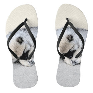 Chinelos Keeshond Dormindo Puppy Pintura Original
