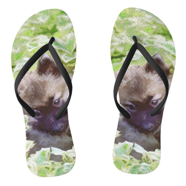Chinelos Keeshond Puppy na Pintura Original (Pé da cama)