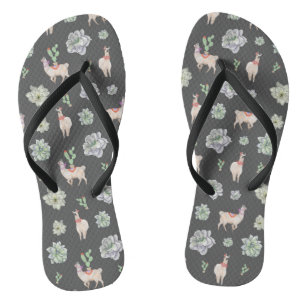 Chinelos Lhamas no deserto com cactos e amarillis