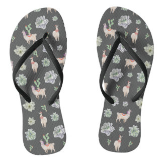 Chinelos Lhamas no deserto com cactos e amarillis