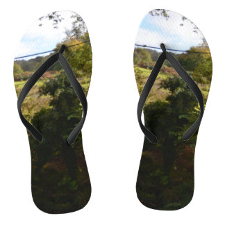 Chinelos nature way of impersonating animals