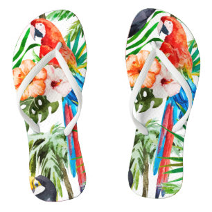 Chinelos Papagaio tropical