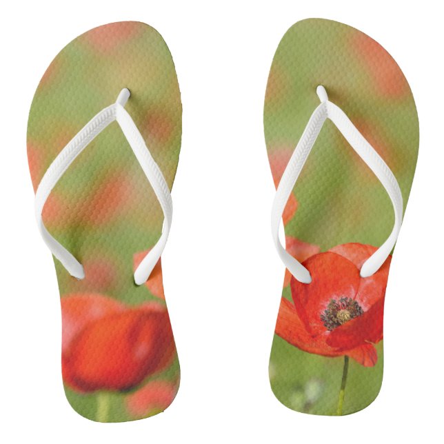 Chinelos Papagaios num campo de papoula flip-flops (Pé da cama)
